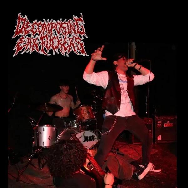 Decomposing Ear Fuckers